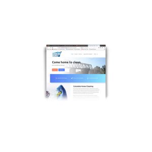 clean website